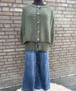 Vest met Poncho-Look – Moud